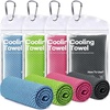 image:imageROXUN Cooling Towels 4 Pack 40x12 Chilly Ice Rags for Neck and Face  GrayBlueGreenBlack Soft Breathable Sports and Outdoor Workouts Comes with Storage Bags amp CarabinersDark Graygrayish Bluepinkgreen